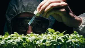 India Agrochemical Market outlook to 2030