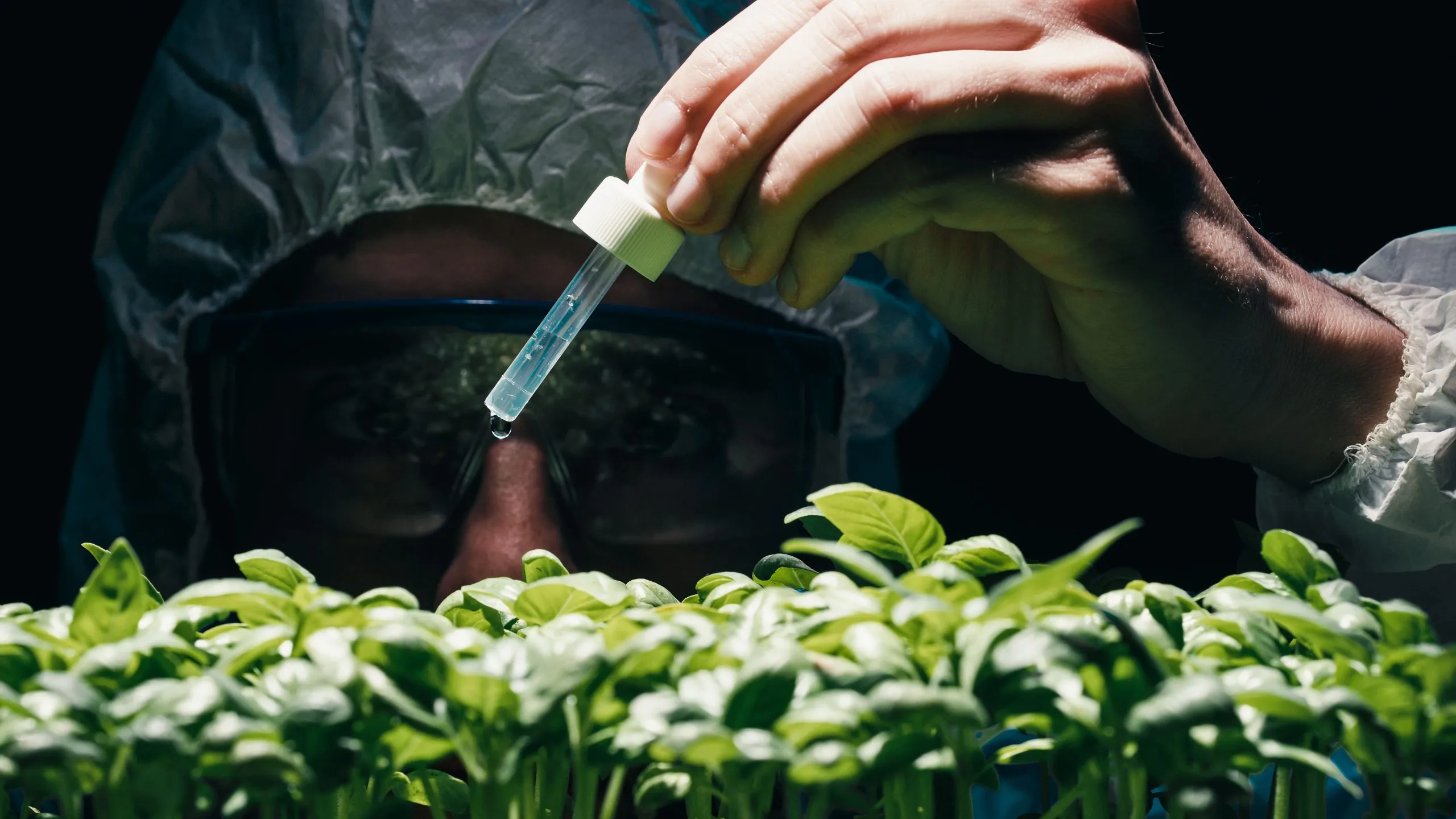 India Agrochemical Market outlook to 2030 India-Agrochemical-Market-scaled