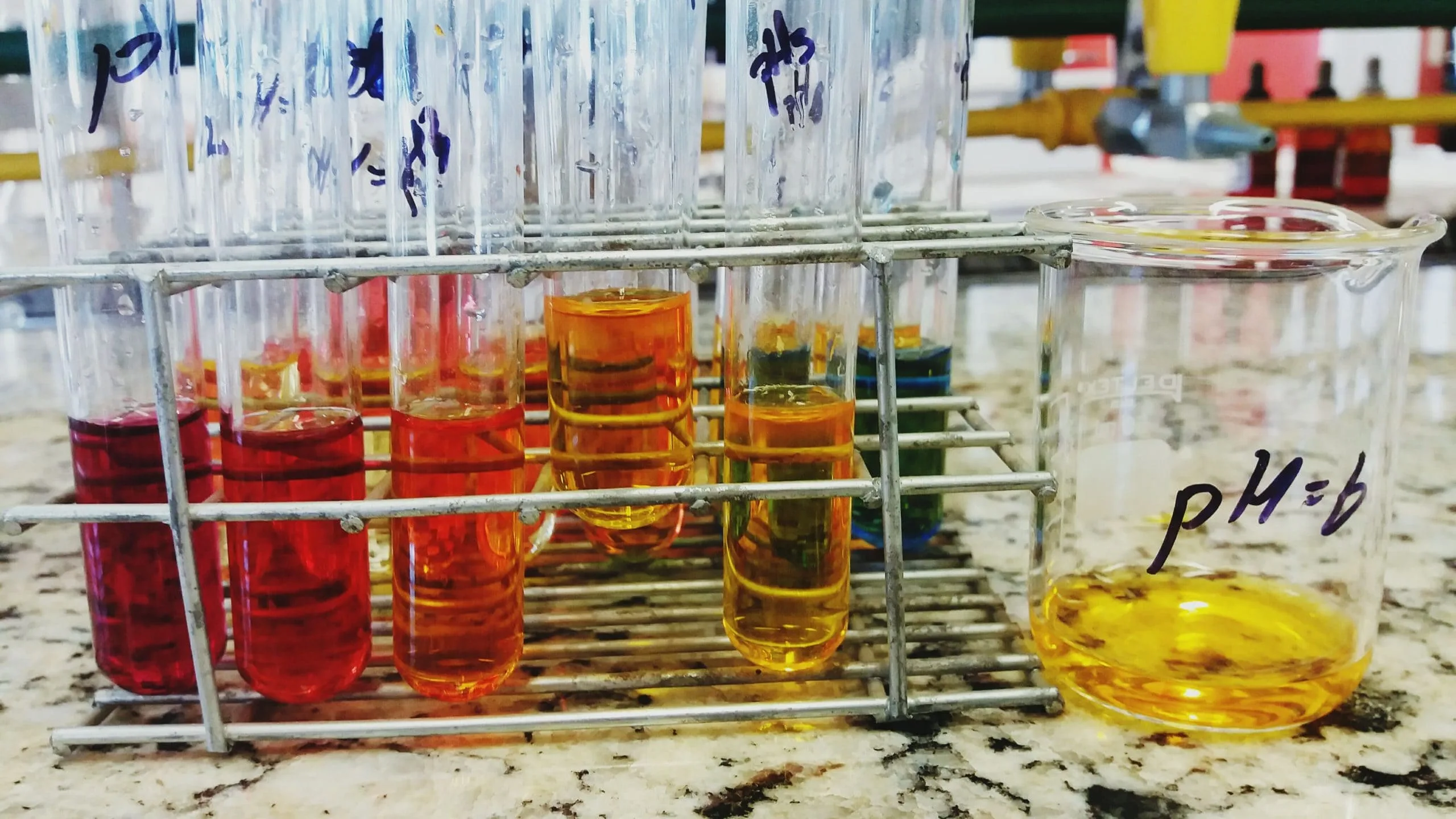 Japan Specialty Chemicals Market outlook to 2030 Japan-Specialty-Chemicals-Market-scaled