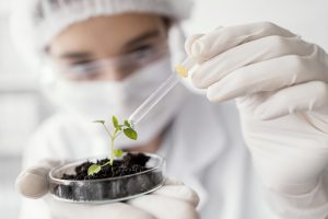 Brazil Agrochemical Market outlook to 2030