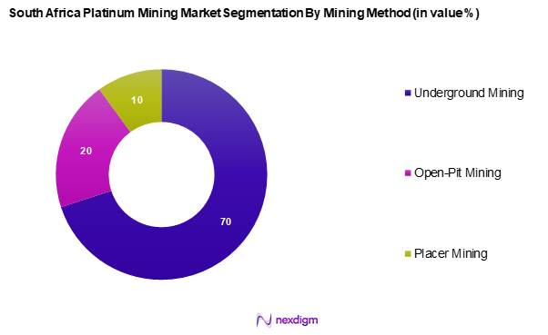 South Africa Platinum Mining Market Segmentation by Mining methods