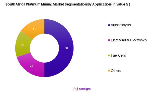 South Africa Platinum Mining Market Segmentation by Application