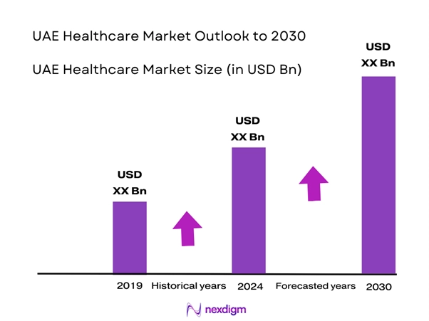 UAE Healthcare Market Overview