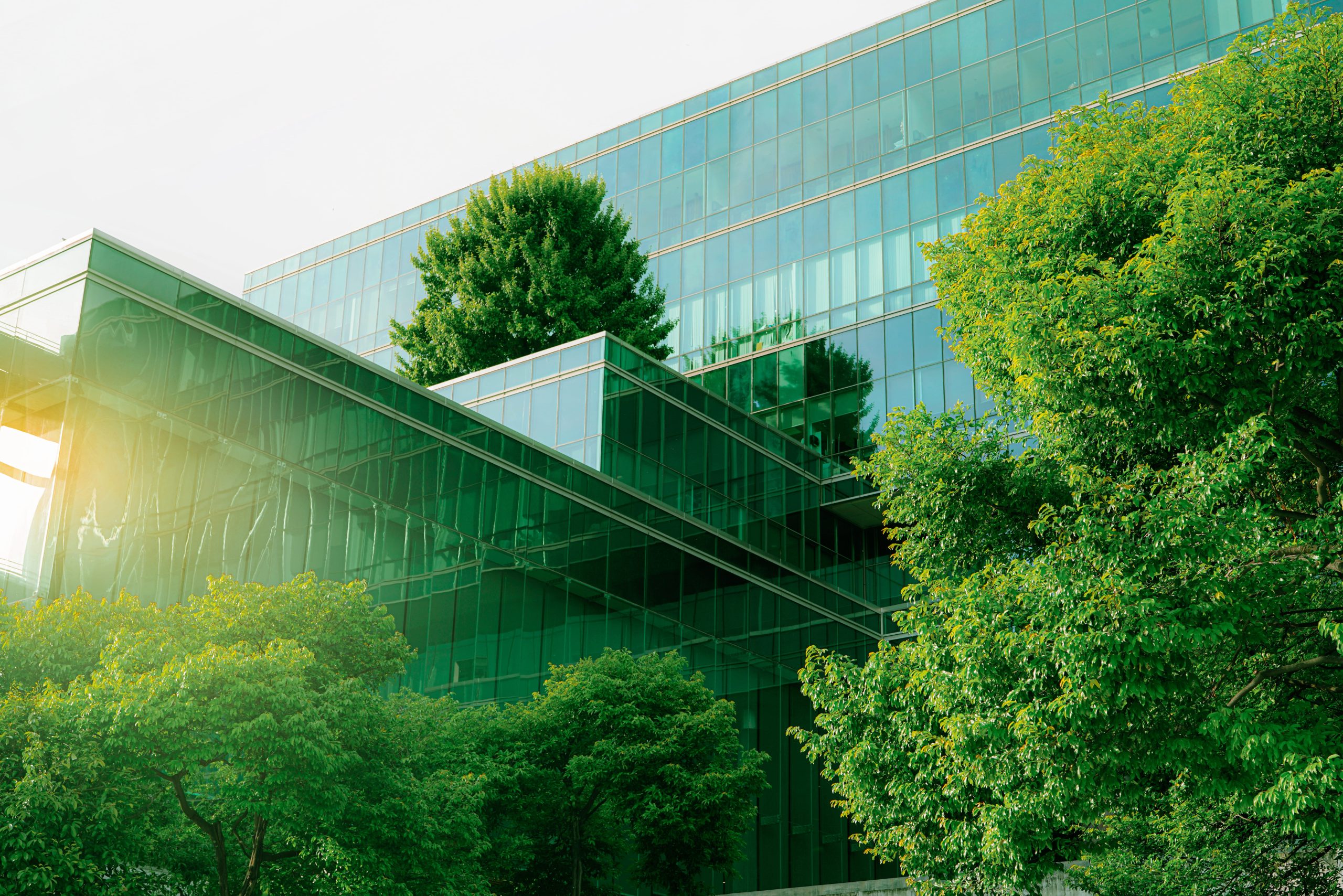 sustainble-green-building-ecofriendly-building-sustainable-glass-office-building-with-tree-1-scaled