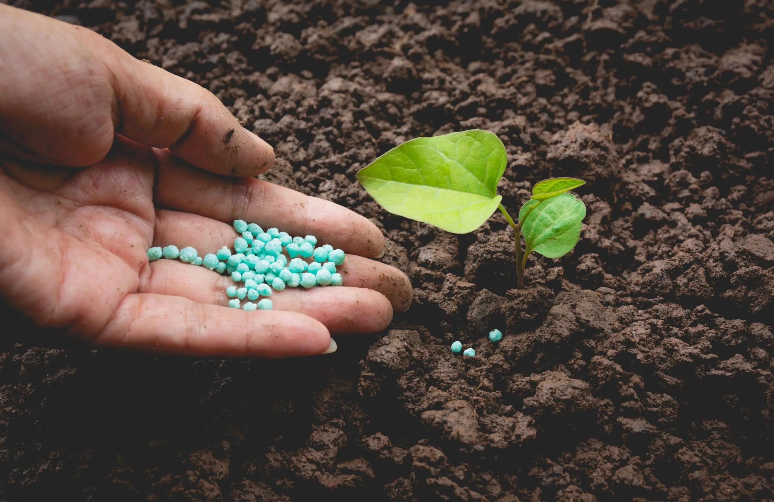 Indonesia’s Nitrogenous Fertilizer Market Advances with 1.15M Tonnes of New Urea Capacity by 2030 Indonesia-Nitrogenous-Fertilizer-Market-Outlook-to-2030-scaled