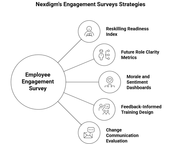 Employee Engagement Survey Strategy