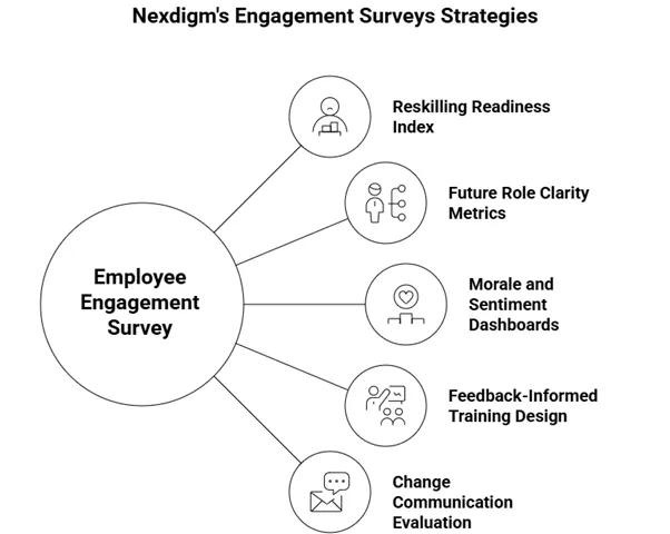 Employee Engagement Survey Strategy