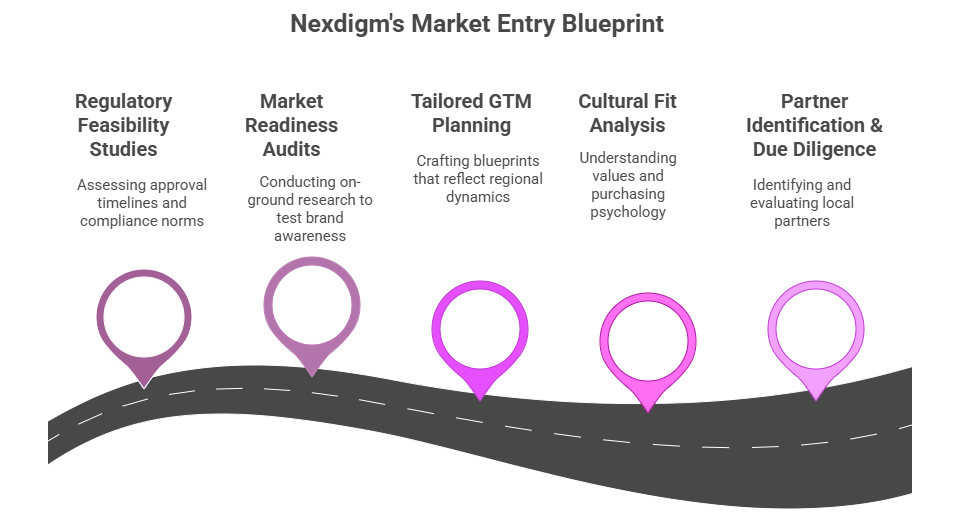 Market Entry Blueprint