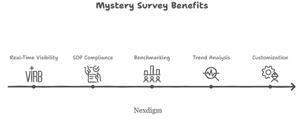 Mystery Survey Benefits