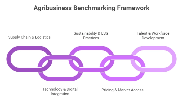 Agribusiness Benchmarking Framework