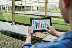 Building Long Term Advantage with Agribusiness Strategy Benchmarking Practices