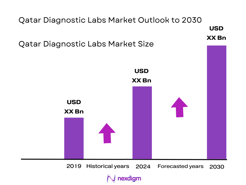 Qatar Diagnostic Labs Market Size
