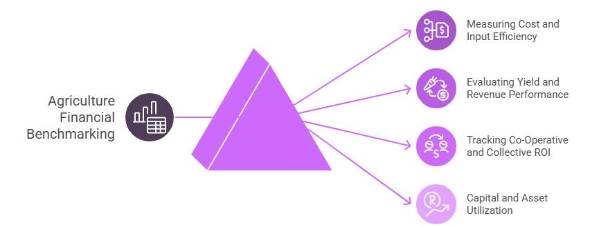 Agriculture Financial Benchmarking