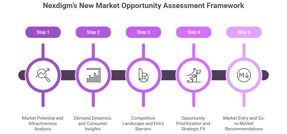 New Market Opportunity Assessment Framework