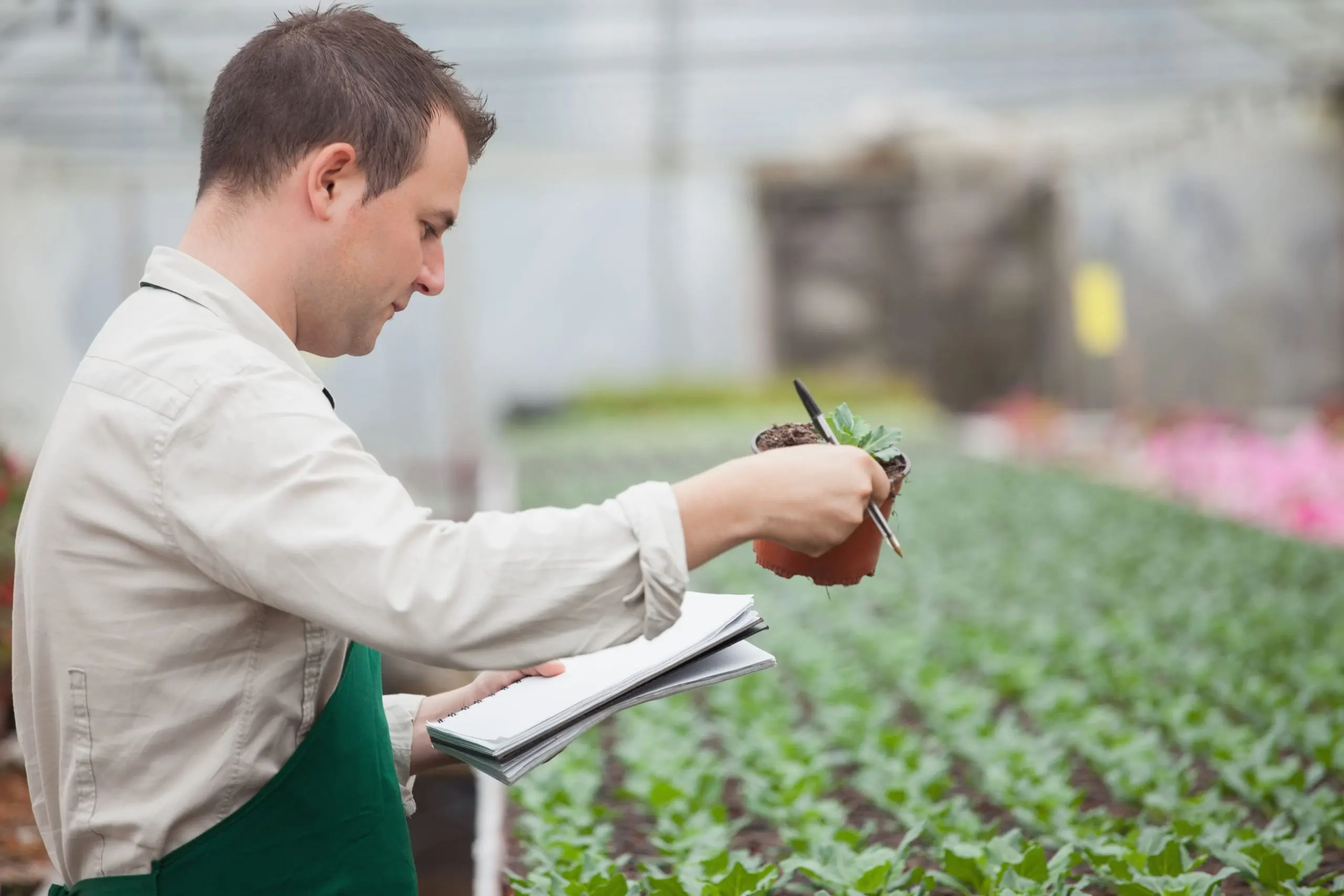 Optimizing Farm-to-Fork Operations With Agriculture Operational Benchmarking Frameworks agriculture-operational-benchmarking-services-scaled