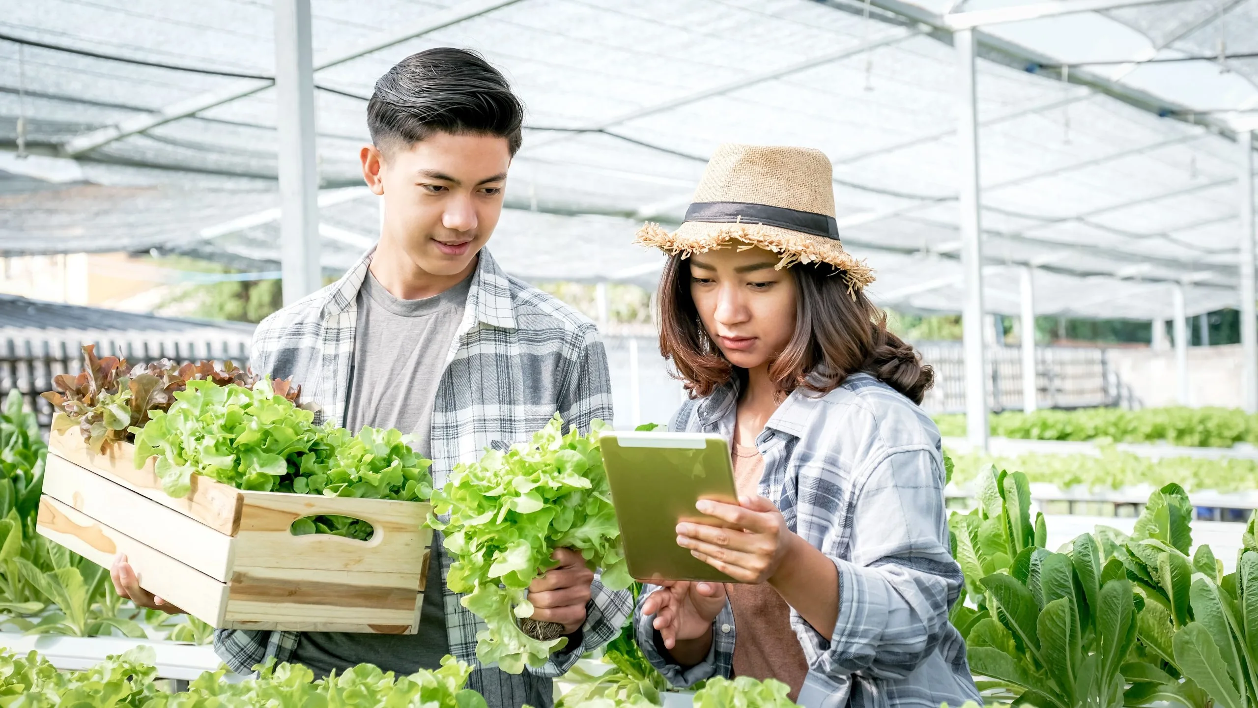 Compensation Benchmarking for AgriTech and Agri-Input Firms to Attract and Retain Technical Talent agritech-compensation-analysis-consulting-scaled