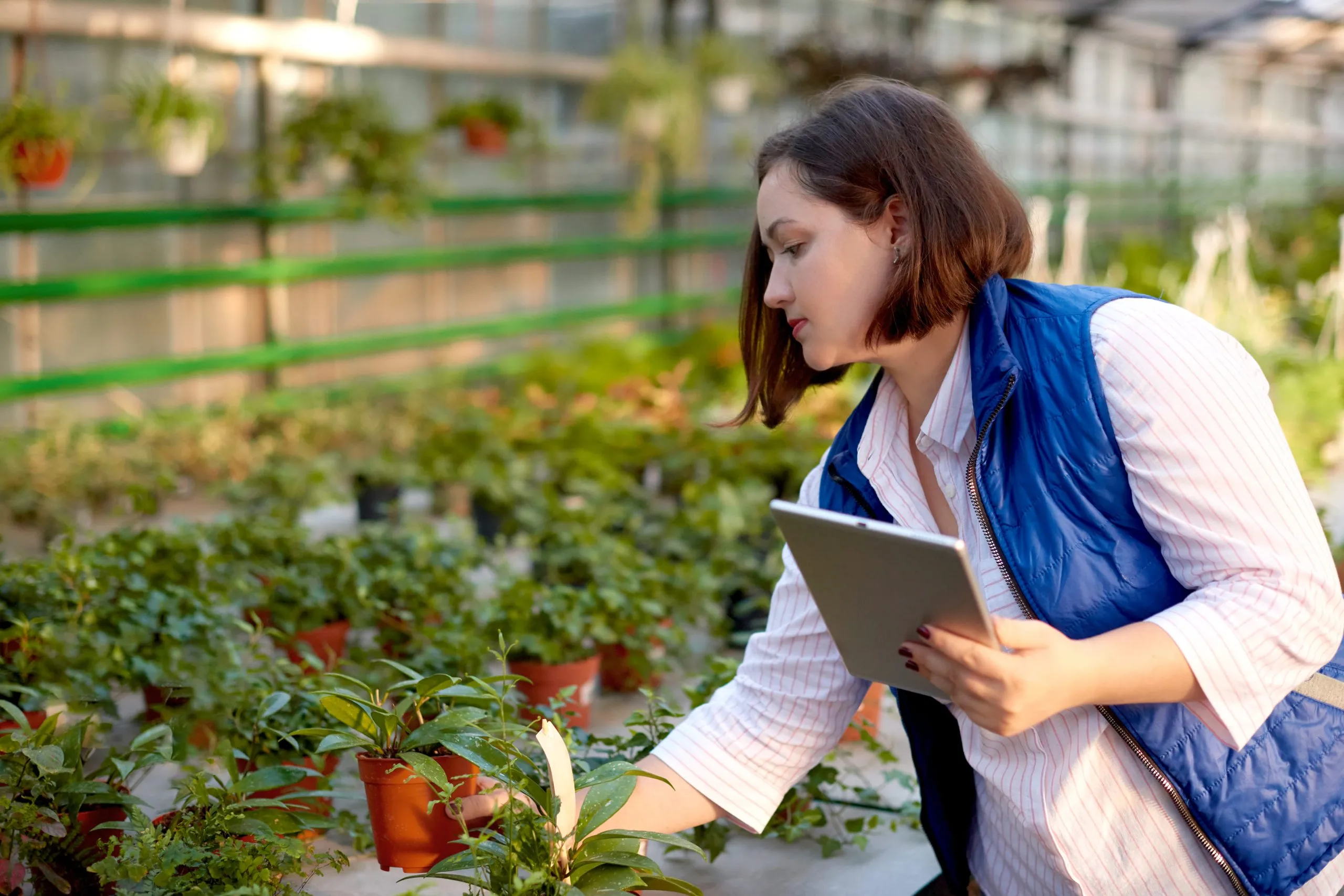 Optimizing Capital Allocation in Agritech Through Strategic Financial Benchmarking Consulting agritech-financial-benchmarking-consulting-scaled