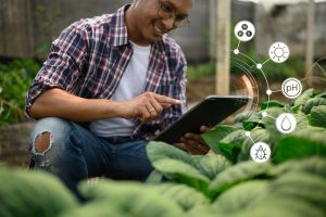 Benchmarking Agri-Innovation Globally to Identify Gaps in Technology Uptake