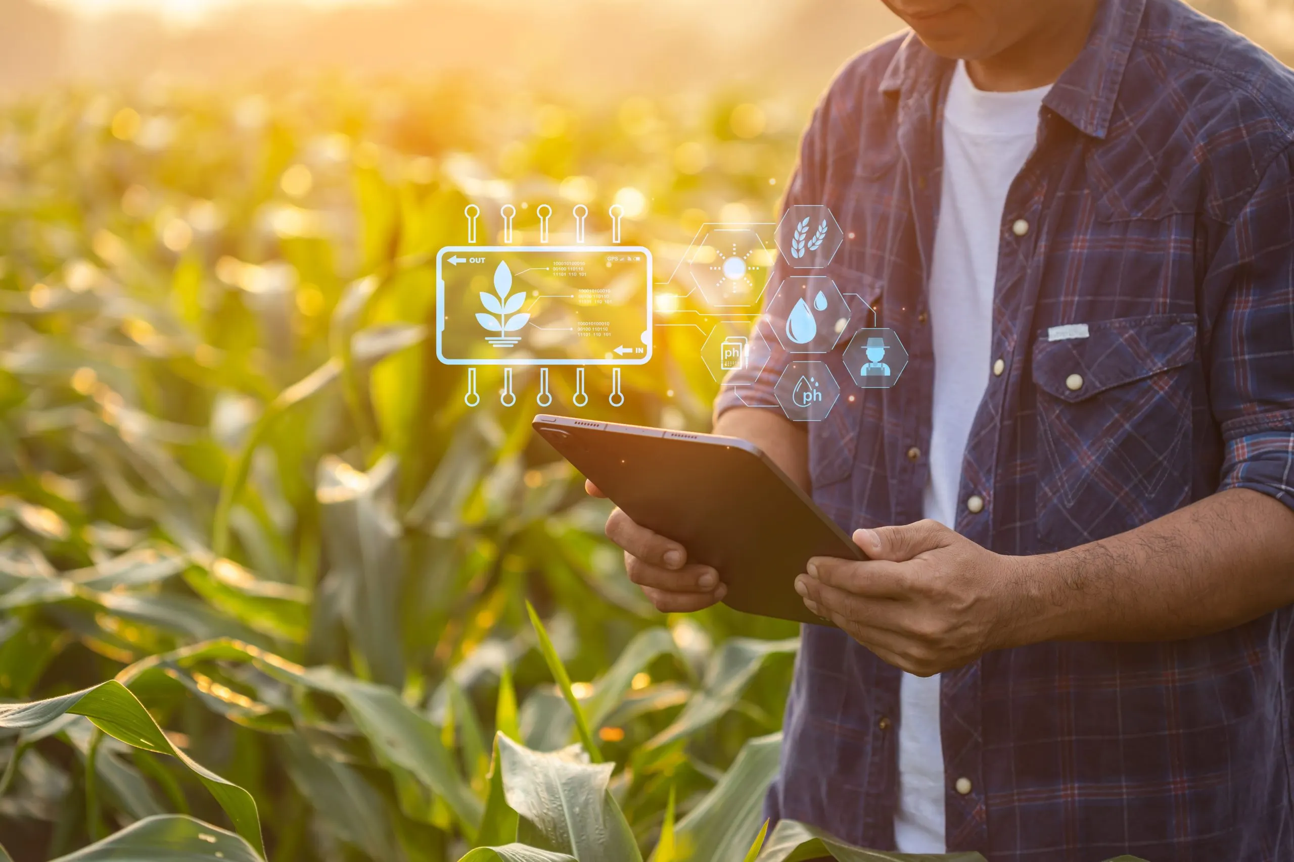 Comparative Analysis of Farm Automation Tools Across Global Markets global-farm-automation-tools-2-scaled