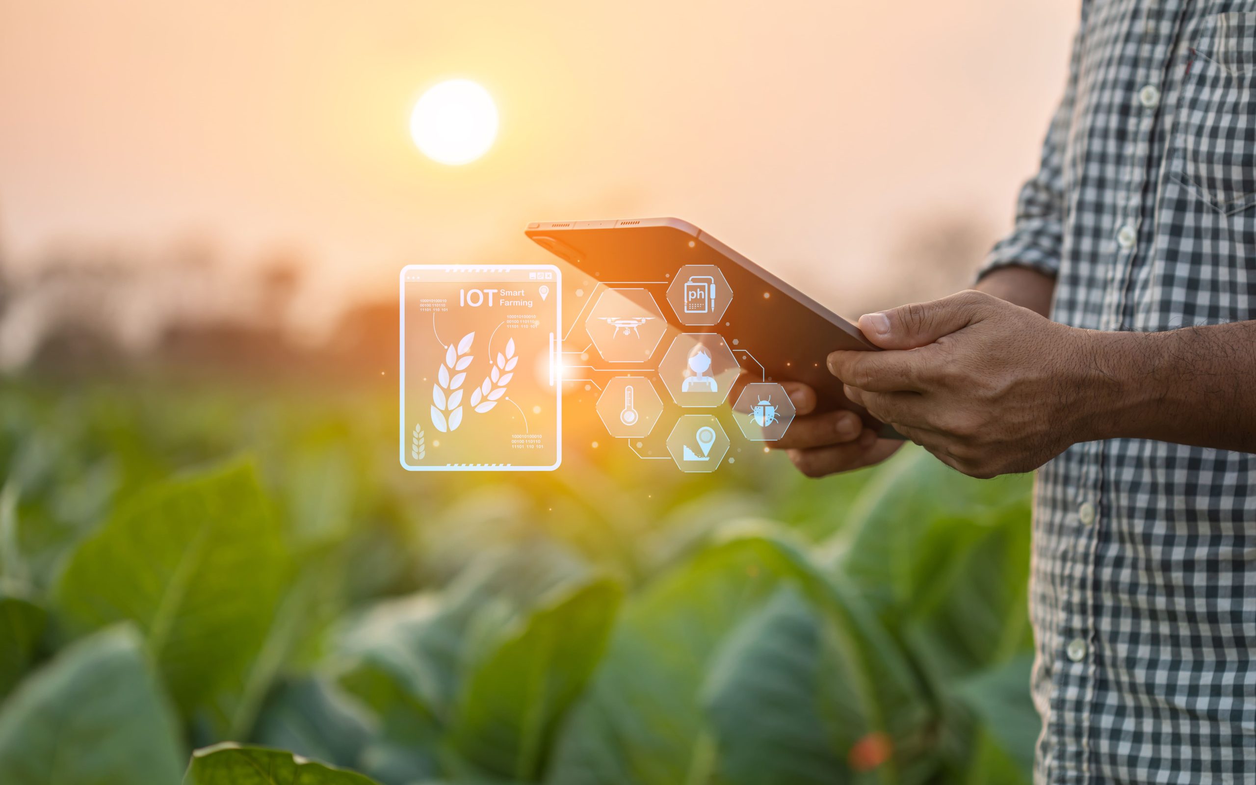 Integrating Smart Tech and Process KPIs in Smart Farming Operational Benchmarking  smart-farming-operational-benchmarking-tools-scaled