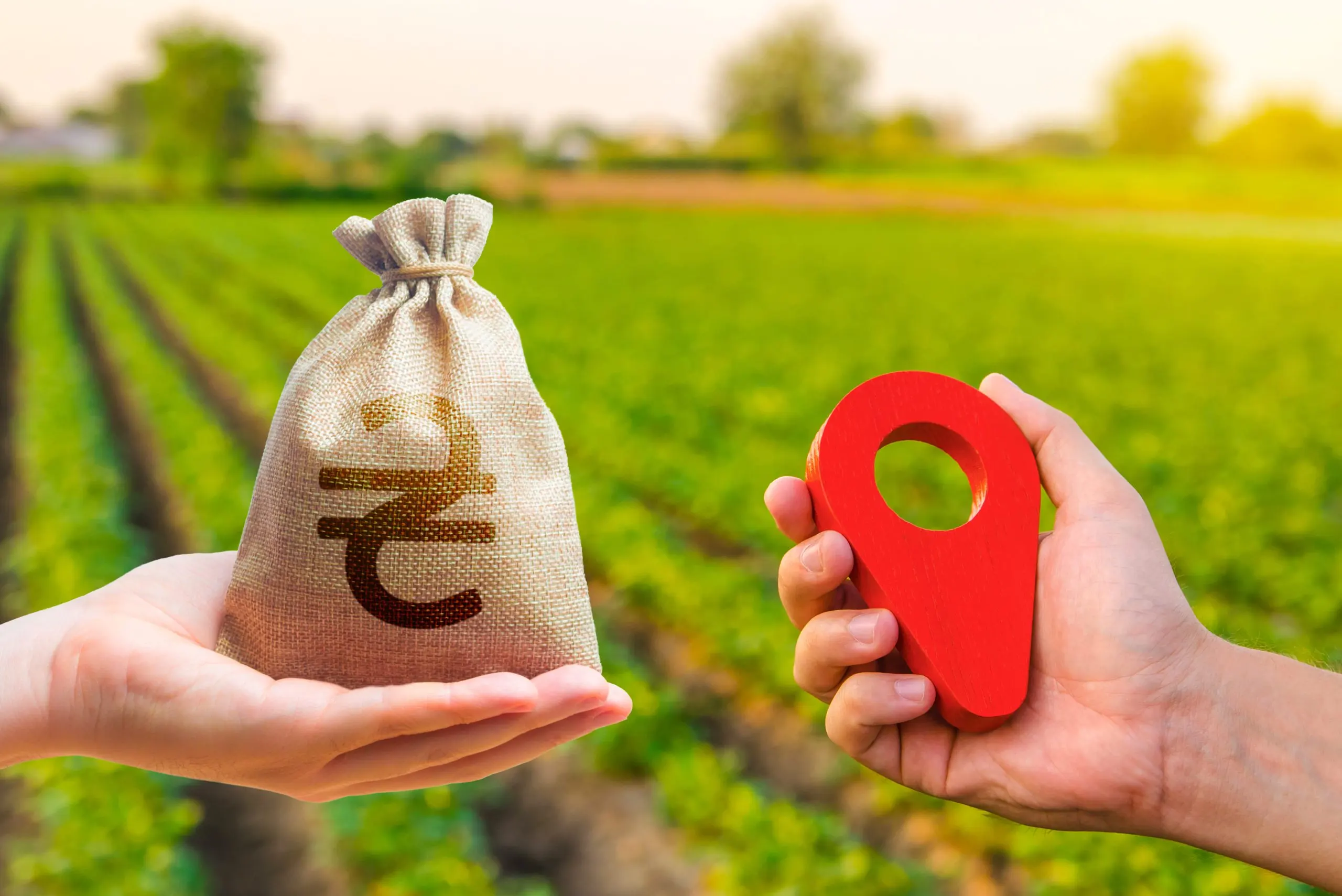 Building Competitive Advantage Through Agribusiness Market Entry Consulting Agribusiness-Market-Entry-Consulting-scaled