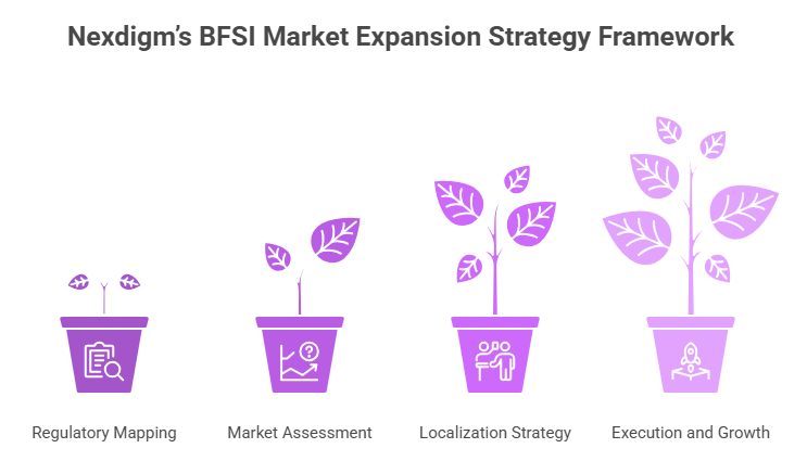 BFSI Market Expansion Strategy Framework
