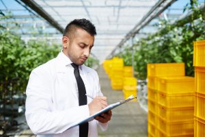 Why Global F&B Investment Entry Consulting Matters for Food Businesses