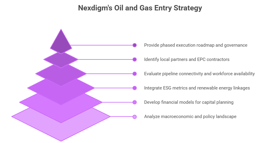 Global Oil and Gas Investment Entry Strategy Consulting Framework