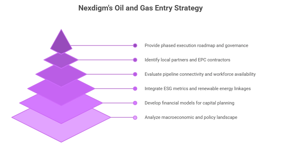 Global Oil and Gas Investment Entry Strategy Consulting Framework