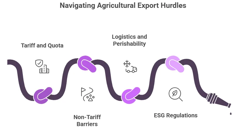 Navigating Agriculture Export Hurdles