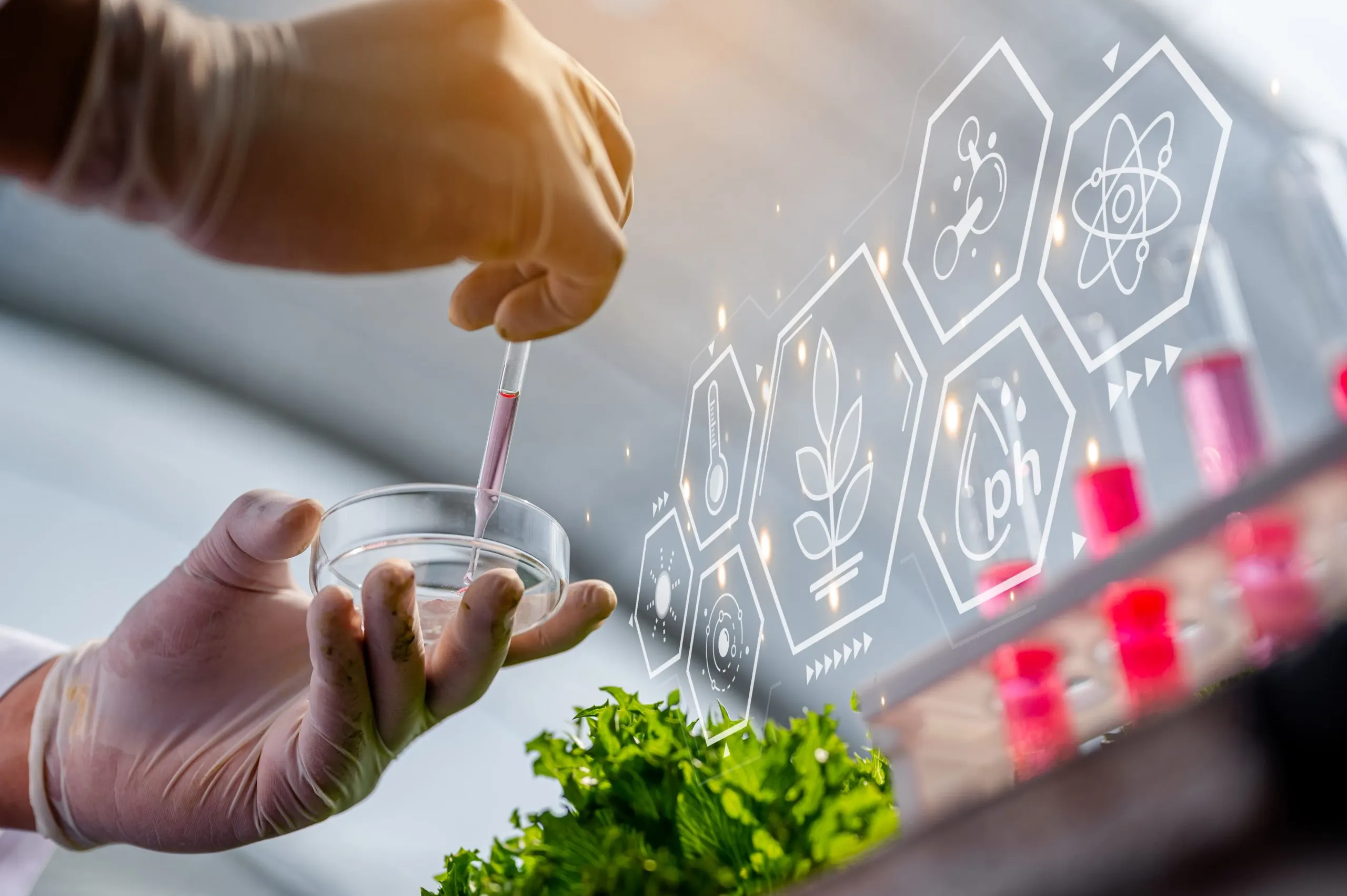 Nexdigm’s Quick Service Restaurant Technology Benchmarking for Enhancing Guest Experience and Throughput QSR-technology-benchmarking-consulting-scaled