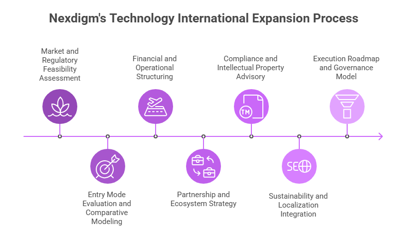 Technology International Expansion Mode of Entry Advisory Framework