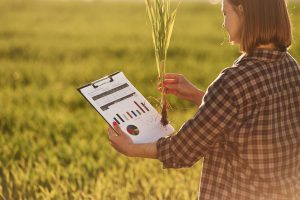 Why Agriculture Innovation Market Entry Strategy Matters for AgriTech Expansion