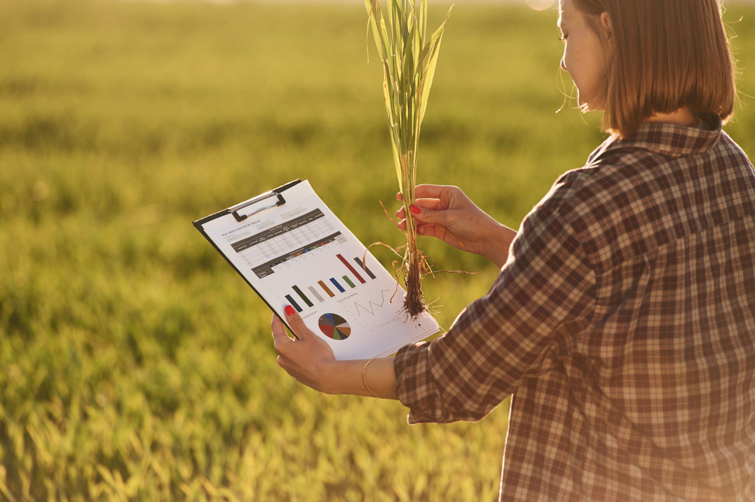 Why Agriculture Innovation Market Entry Strategy Matters for AgriTech Expansion agriculture-innovation-market-entry-strategy-scaled
