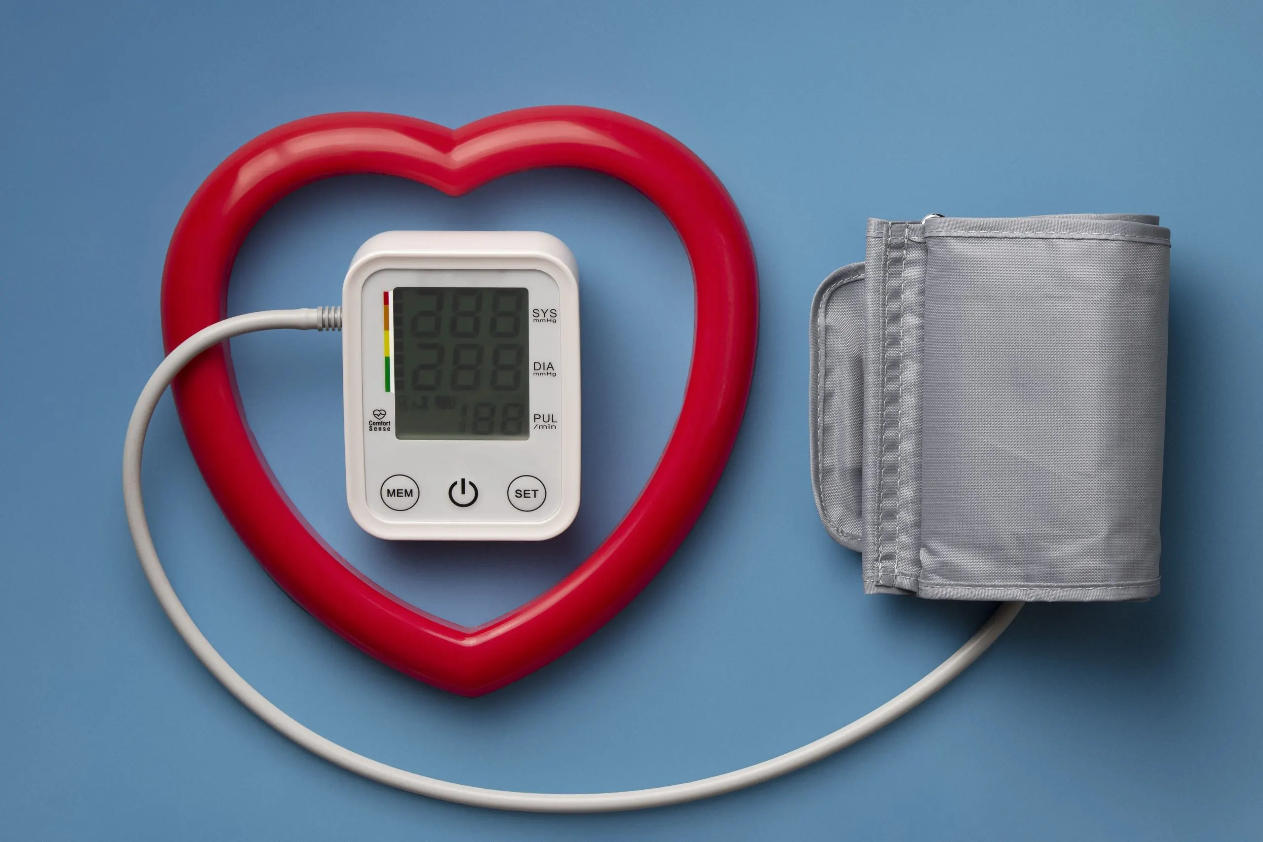 Philippines Smart Blood Pressure Monitors Market Outlook 2030 Philippines-Smart-Blood-Pressure-Monitors-Market-3-scaled