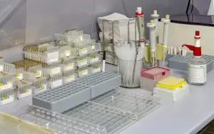 UAE Laboratory Incubators Market Outlook 2030
