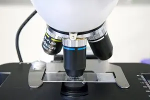 UAE Spectrophotometers Equipment Market Outlook 2030