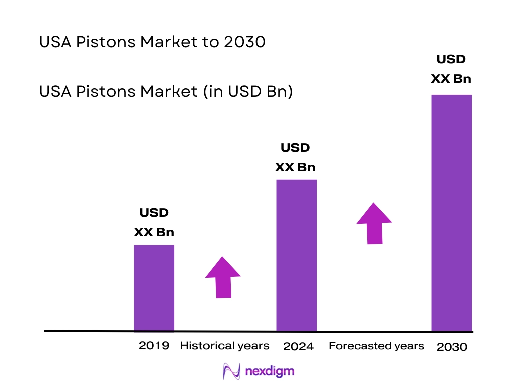 USA Pistons Market Size