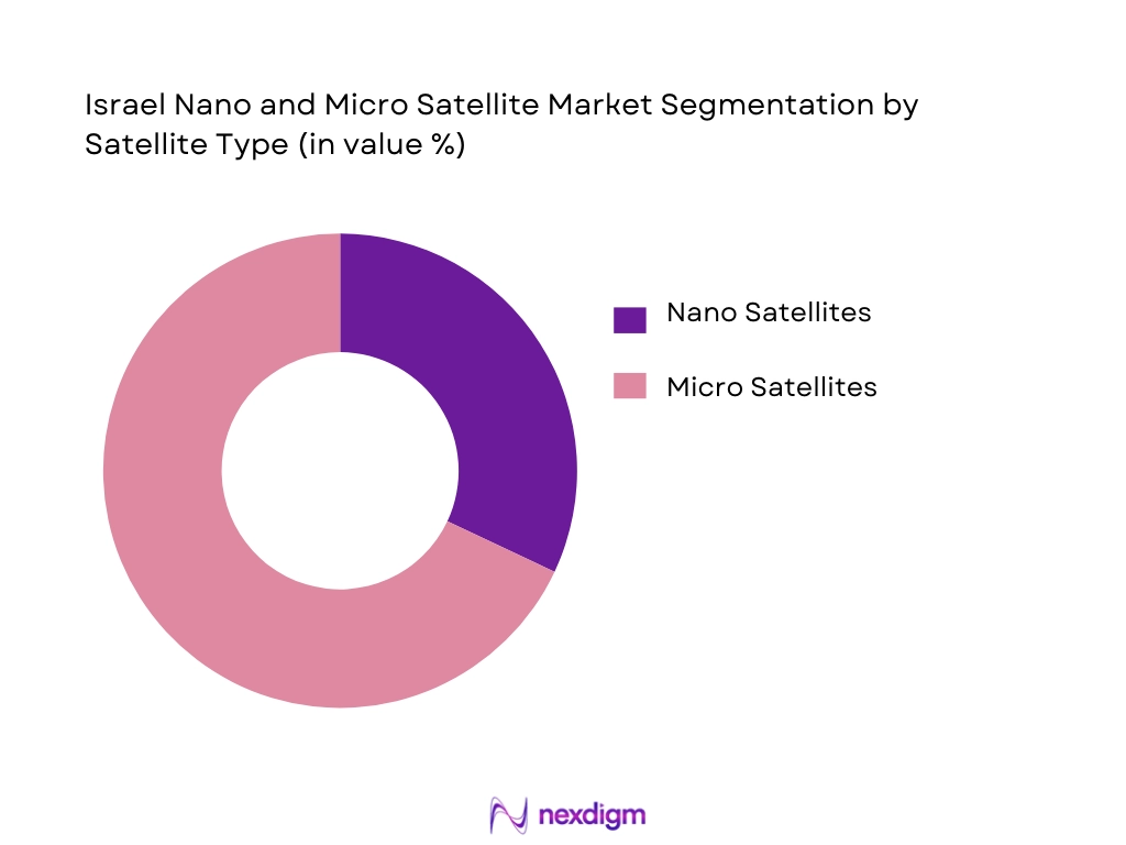 Israel Nano and Micro Satellite Market Segmentation by Satellite Type