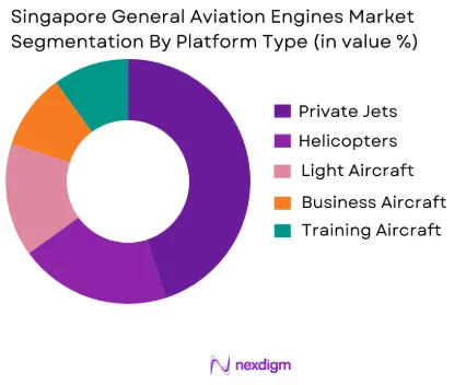 Singapore General Aviation Engines Market by platform type