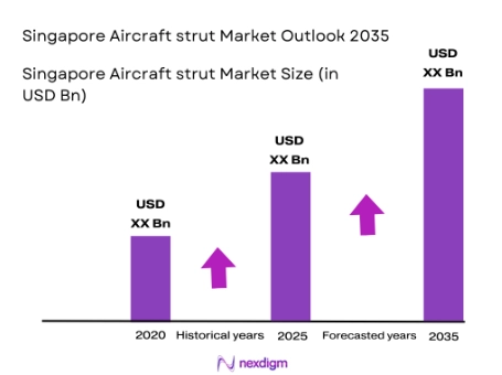 Singapore aircraft strut market size
