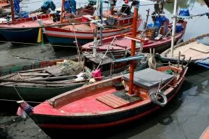 Philippines Fenders Market Outlook to 2030