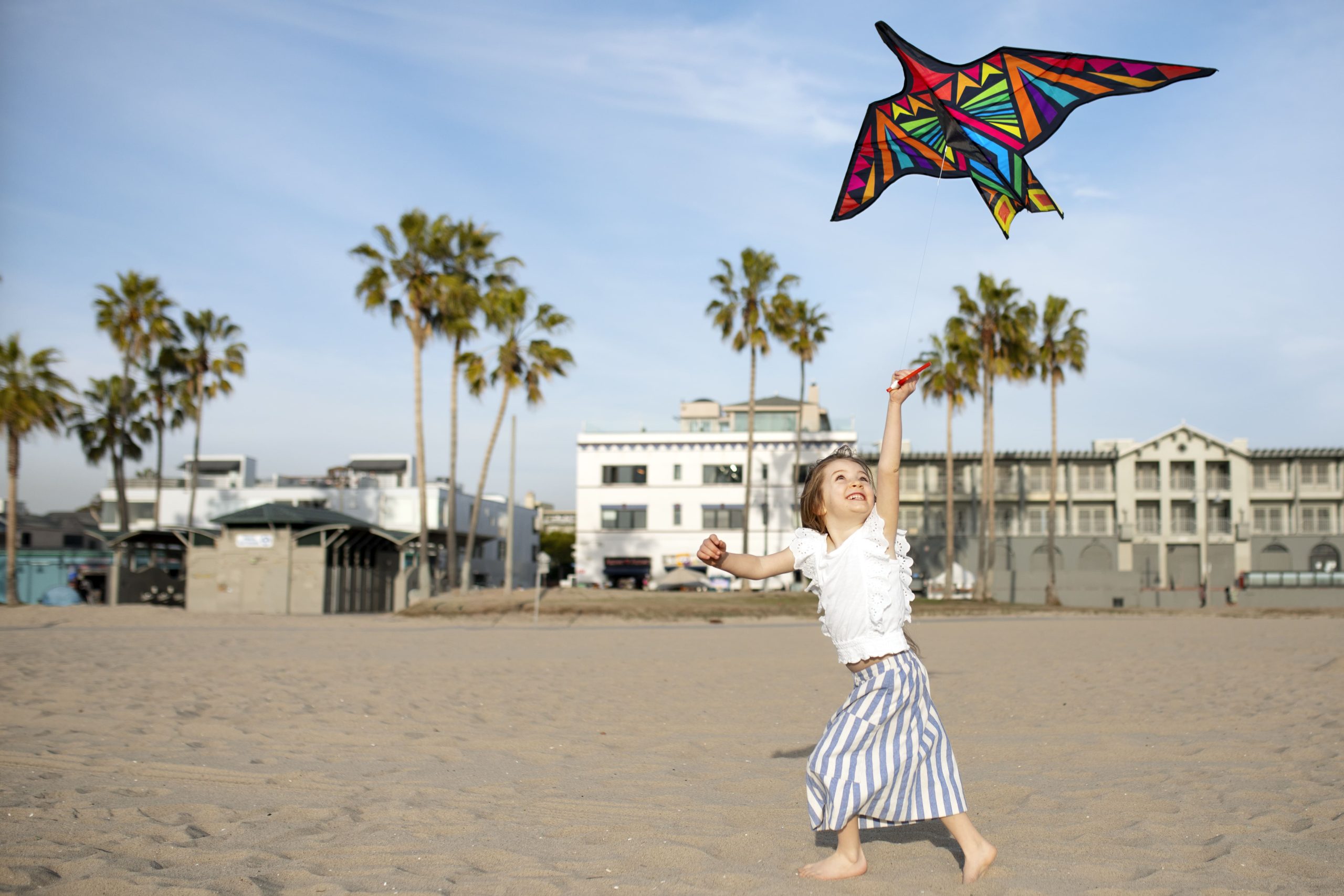 Singapore Hang glider Market outlook to 2035 young-adult-having-fun-with-kite-1-scaled