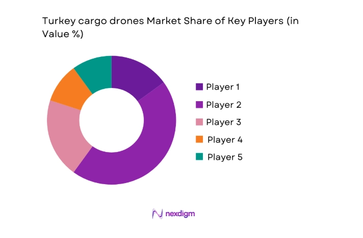 Turkey cargo drones Market share