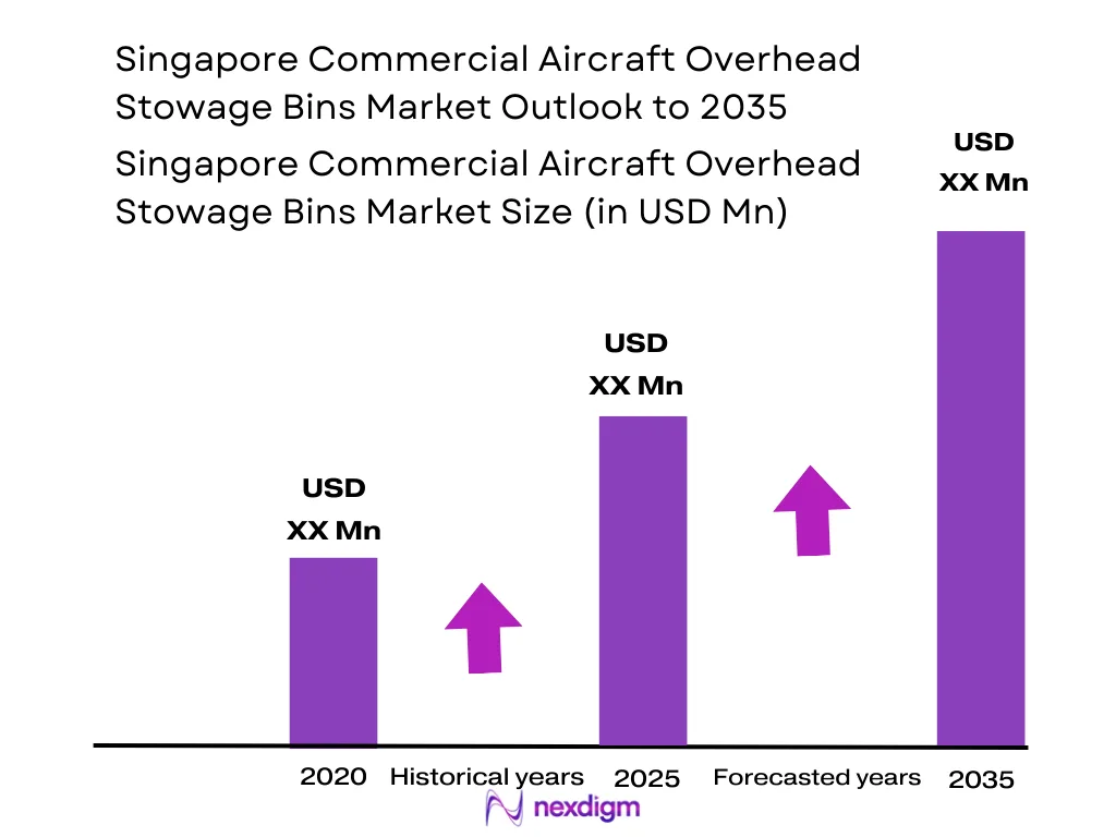 Singapore Commercial Aircraft Bins