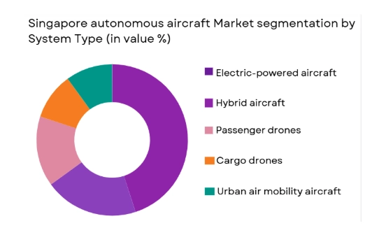 Singapore autonomous aircraft market segmented by system type
