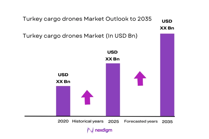 Turkey cargo drones Market size