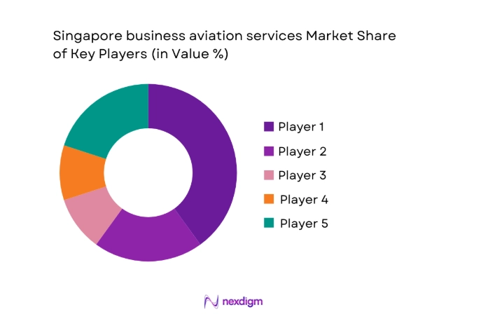 Singapore business aviation services Market share