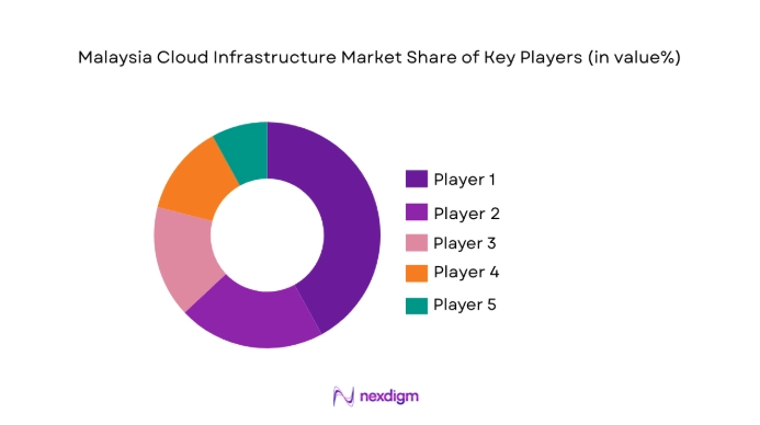 Malaysia Cloud Infrastructure Market share