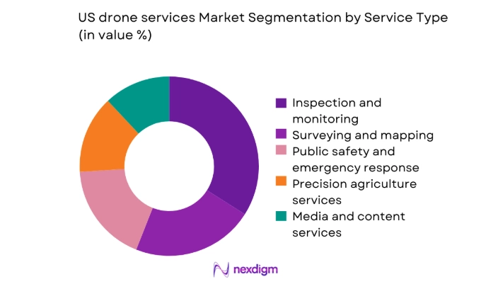 US drone services Market segment by service